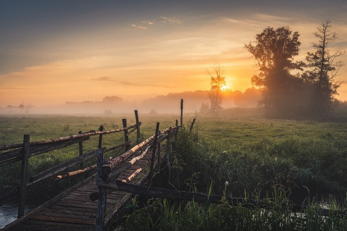Wooden bridge over a stream at sunrise in a misty meadow