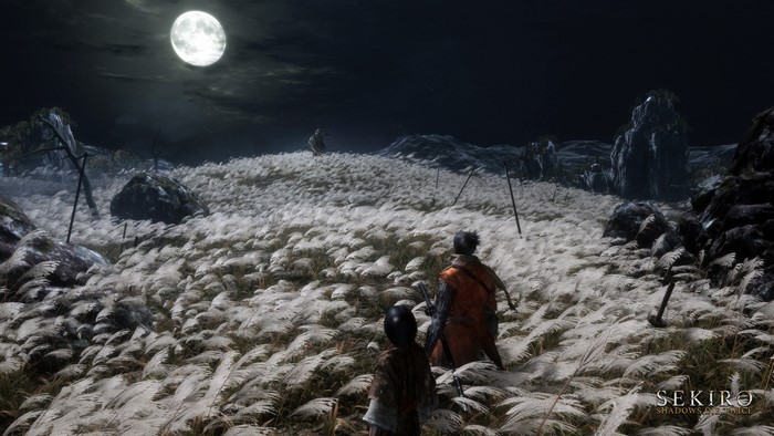 Sekiro: Shadows Die Twice characters in a moonlit field