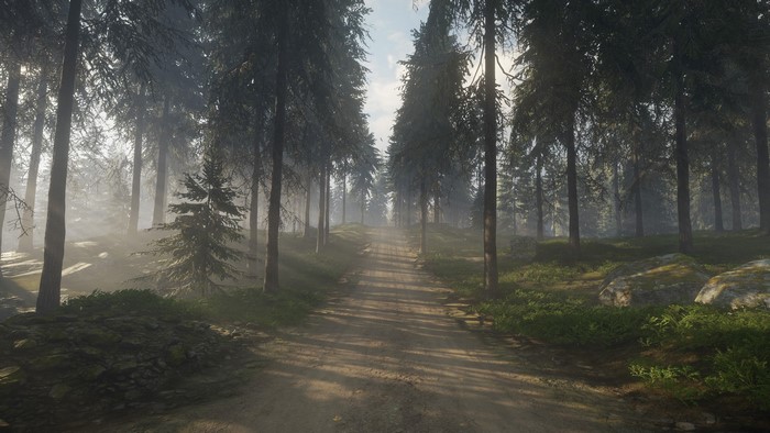 Dirt road through a forest in theHunter: Call of the Wild