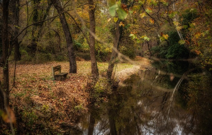 Bench by a stream in autumn forest