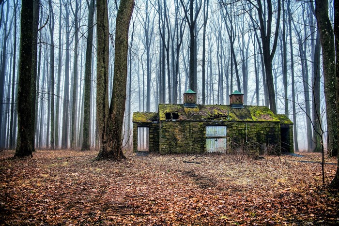 Abandoned stone cabin covered in moss in a misty forest