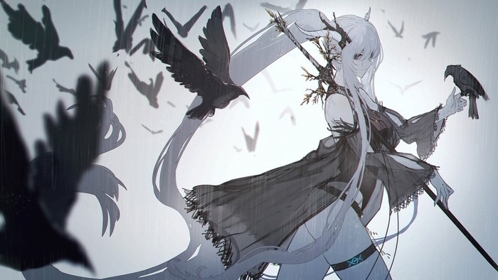Shining from Arknights with crows