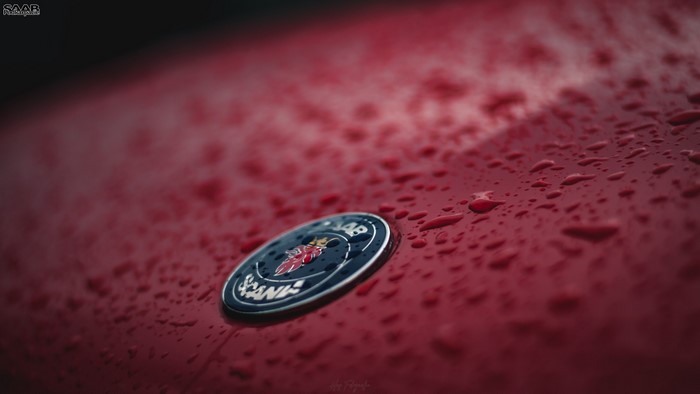 Saab logo on a red car with water droplets