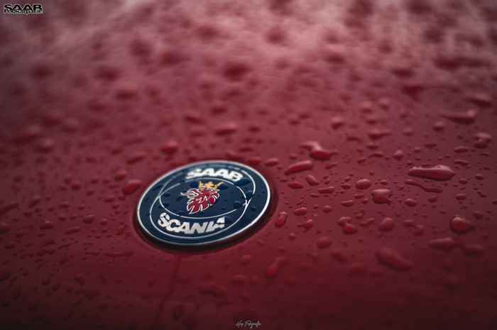 Saab logo on a wet red car hood