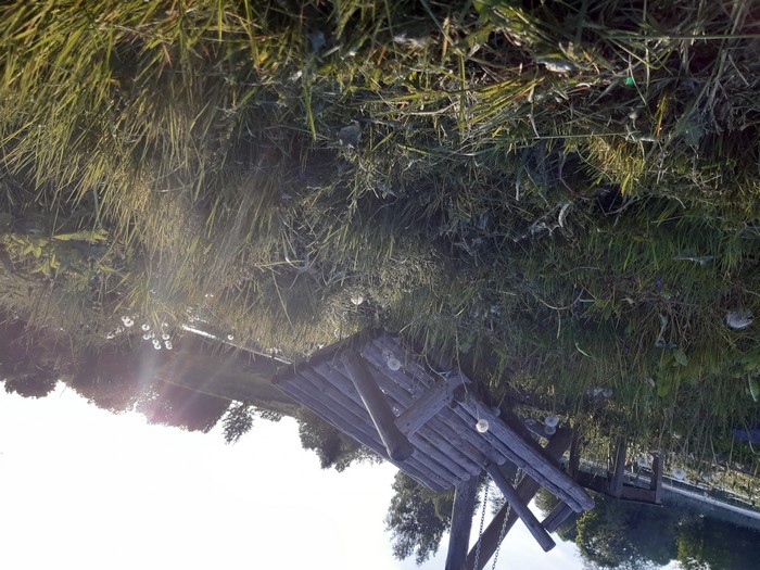 Wooden swing set in grass near water