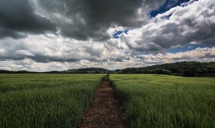 Path through a green field under a cloudy sky