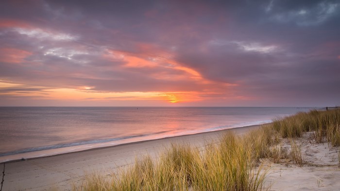 Sunset over the sea with beach dunes and grass