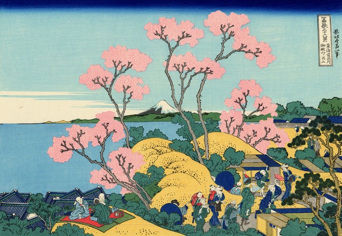 Cherry Blossoms and Mount Fuji