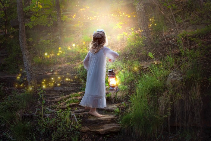 Girl with lantern in a magical forest