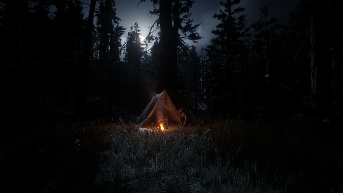 Camping in a dark forest in Red Dead Redemption 2