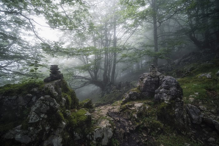 Misty forest with stacked stones on rocks
