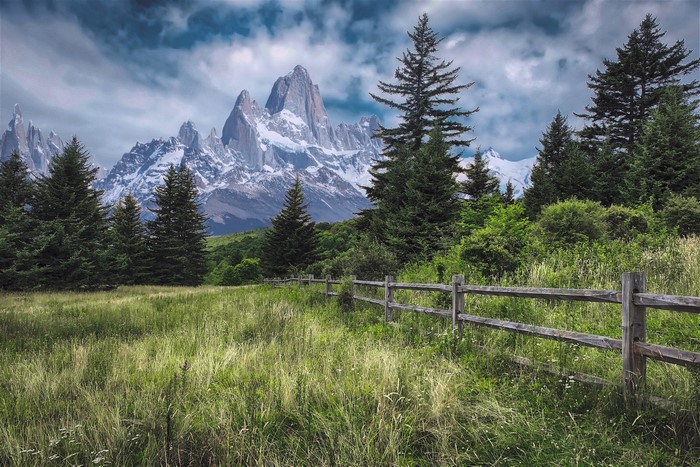 Wooden fence in a grassy field with pine trees and snowy mountains