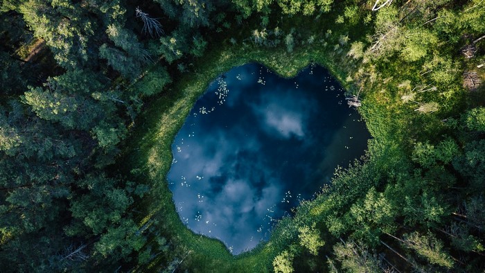 Aerial view of a forest lake with reflections