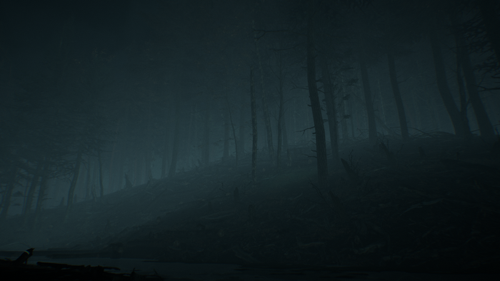 Horror forest scene from a video game