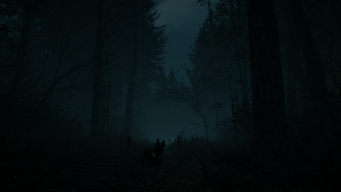 Dog in a dark forest, Blair Witch video game