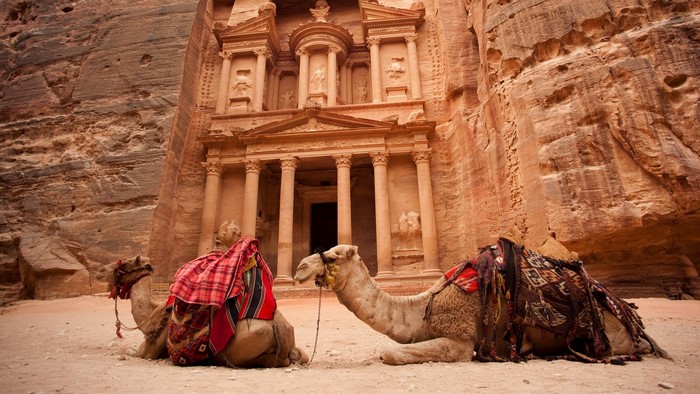Camels resting in front of Al-Khazneh in Petra