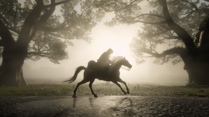 Red Dead Redemption 2 screenshot of a person on a horse