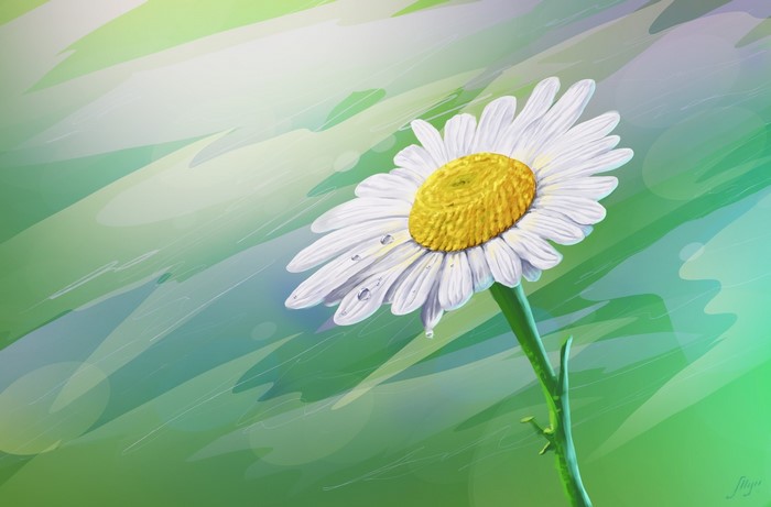Digital painting of a daisy with water droplets
