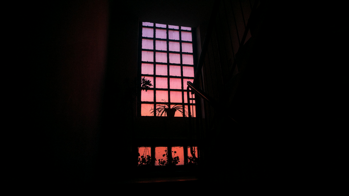 Window with purple and pink sky and plants