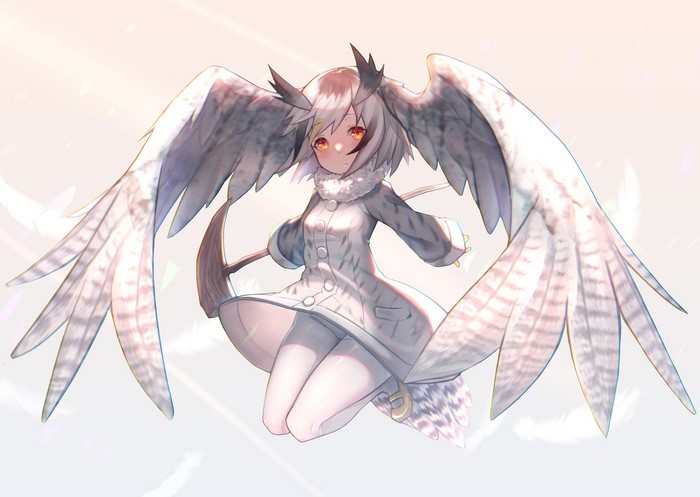 Northern White-Faced Owl from Kemono Friends