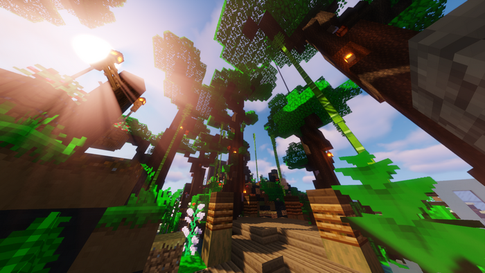 Minecraft jungle with trees and pathways