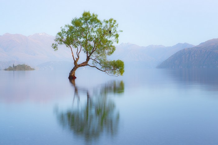 #453621 lake, nature, New Zealand, water, trees, reflection - Rare ...