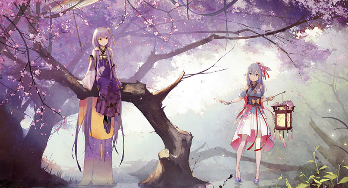Anime girls with lanterns under cherry blossom trees