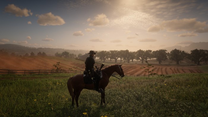 Man on horse in a field, Red Dead Redemption 2