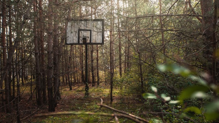 Abandoned basketball hoop in a forest