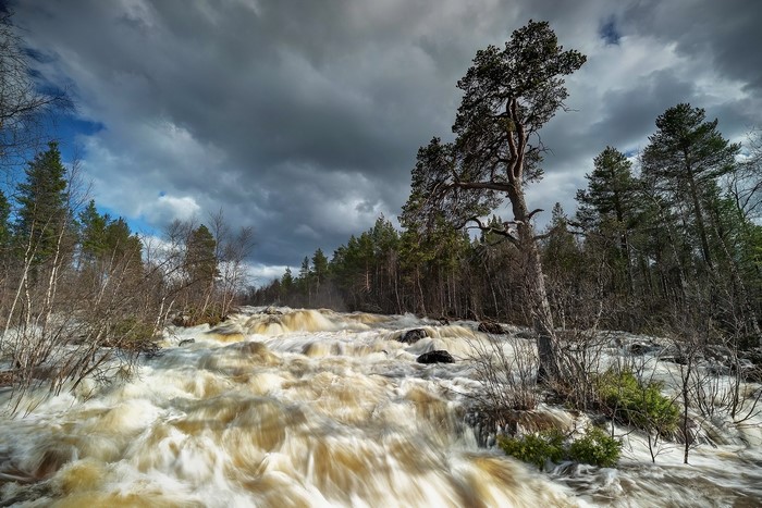 Raging river flowing through a forest under a cloudy sky