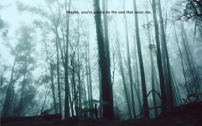 Misty forest with tall trees and a quote