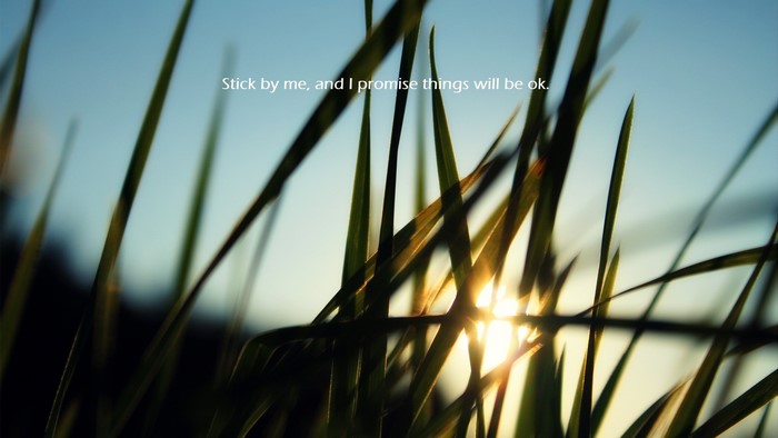 Grass with sunlight and text