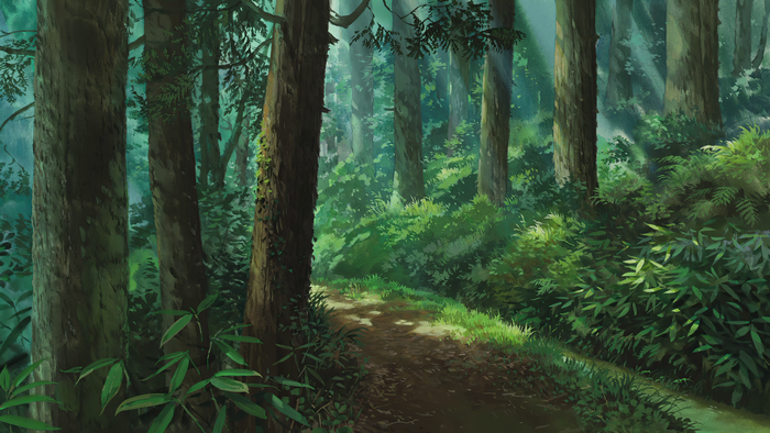 4K forest with sunlight filtering through trees