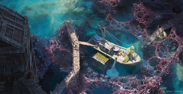 Boat docked at a wooden pier amidst coral reefs