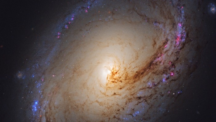 Spiral Galaxy in Deep Space