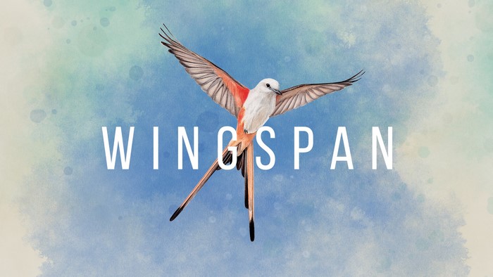 Wingspan board game artwork with bird