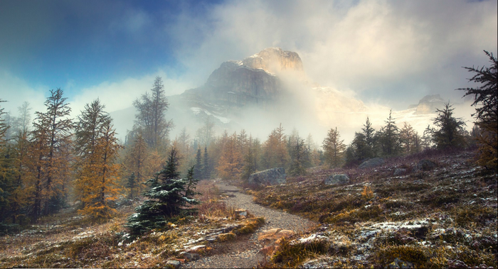 Mountain peak shrouded in mist with a forest path