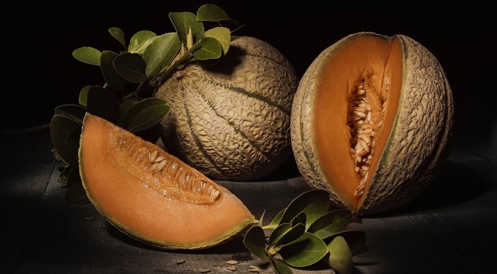 Cantaloupe melons with leaves on a dark surface