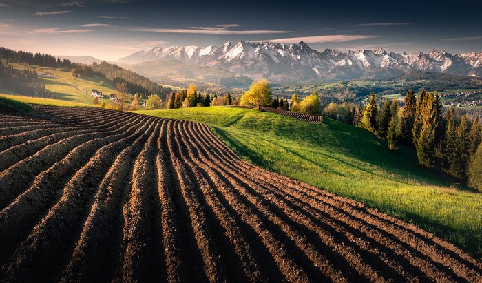 Tatra Mountains landscape with plowed fields at sunrise by Karol Nienartowicz