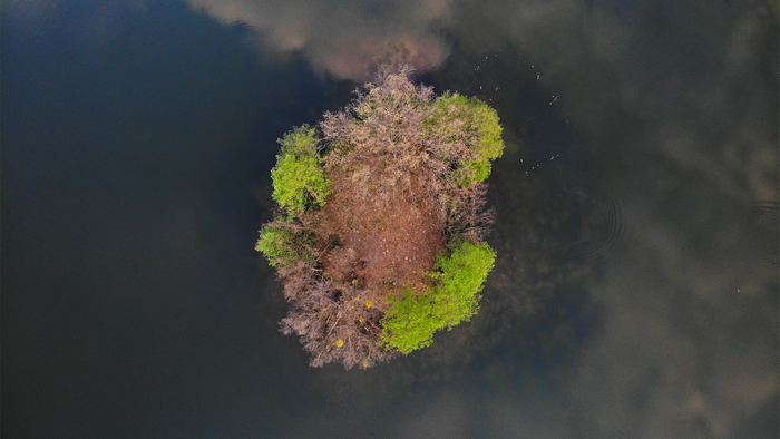 Aerial view of a small island with trees in a lake