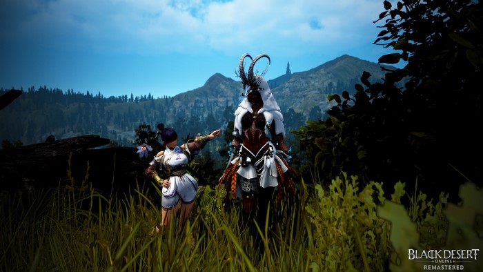 4K Black Desert Online characters in a mountain landscape