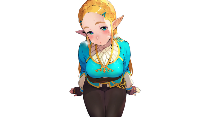 Princess Zelda from The Legend of Zelda: Breath of the Wild
