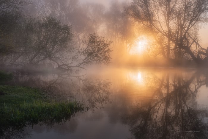 Misty river at sunrise with trees and reflections