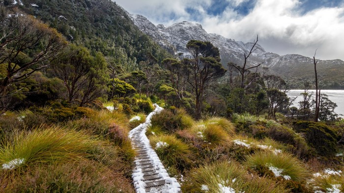 Snowy mountain landscape with boardwalk in Tasmania