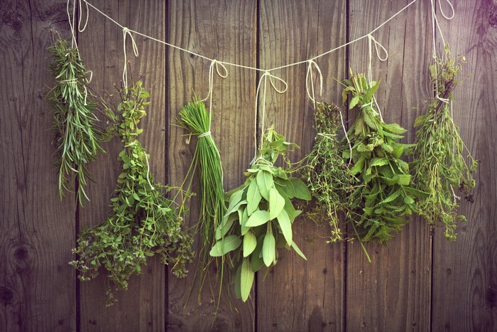 Bunches of herbs hanging on a wooden fence