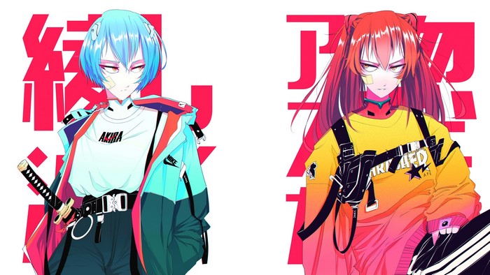 Rei Ayanami and Asuka Langley Soryu from Neon Genesis Evangelion