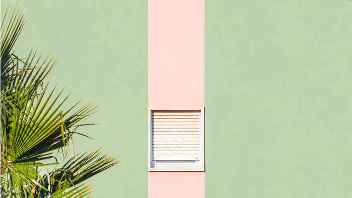 Palm trees and window on a pastel wall