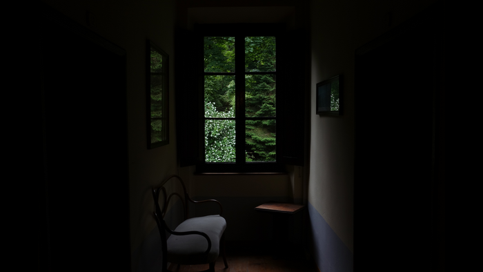 Dark interior with a window overlooking trees