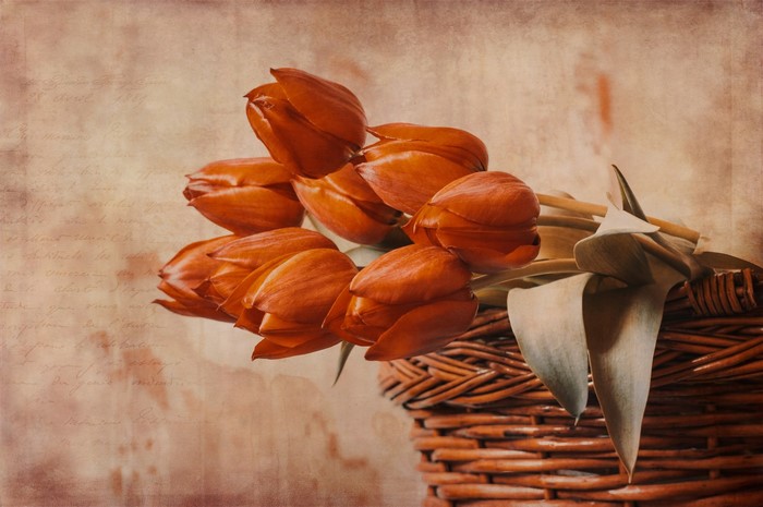 Orange tulips in a woven basket