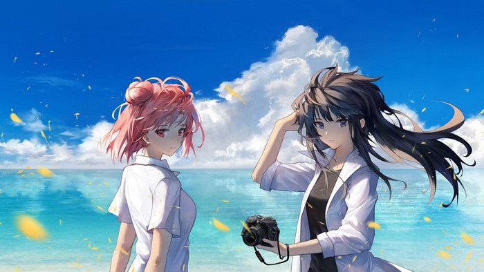 Yukinoshita Yukino and Yuigahama Yui from Yahari Ore no Seishun Love Comedy wa Machigatteiru
